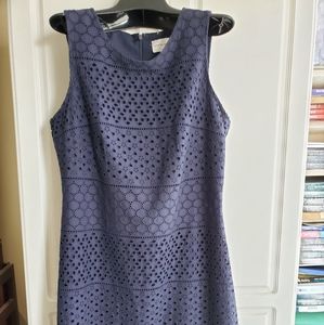Blue Eyelet Shift